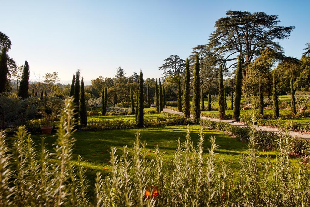 Domaine De Fontenille Lauris Esterno foto