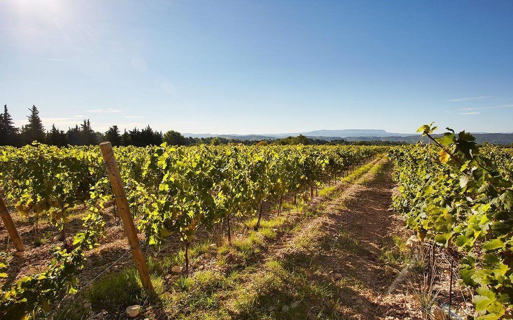 Domaine De Fontenille Lauris Esterno foto