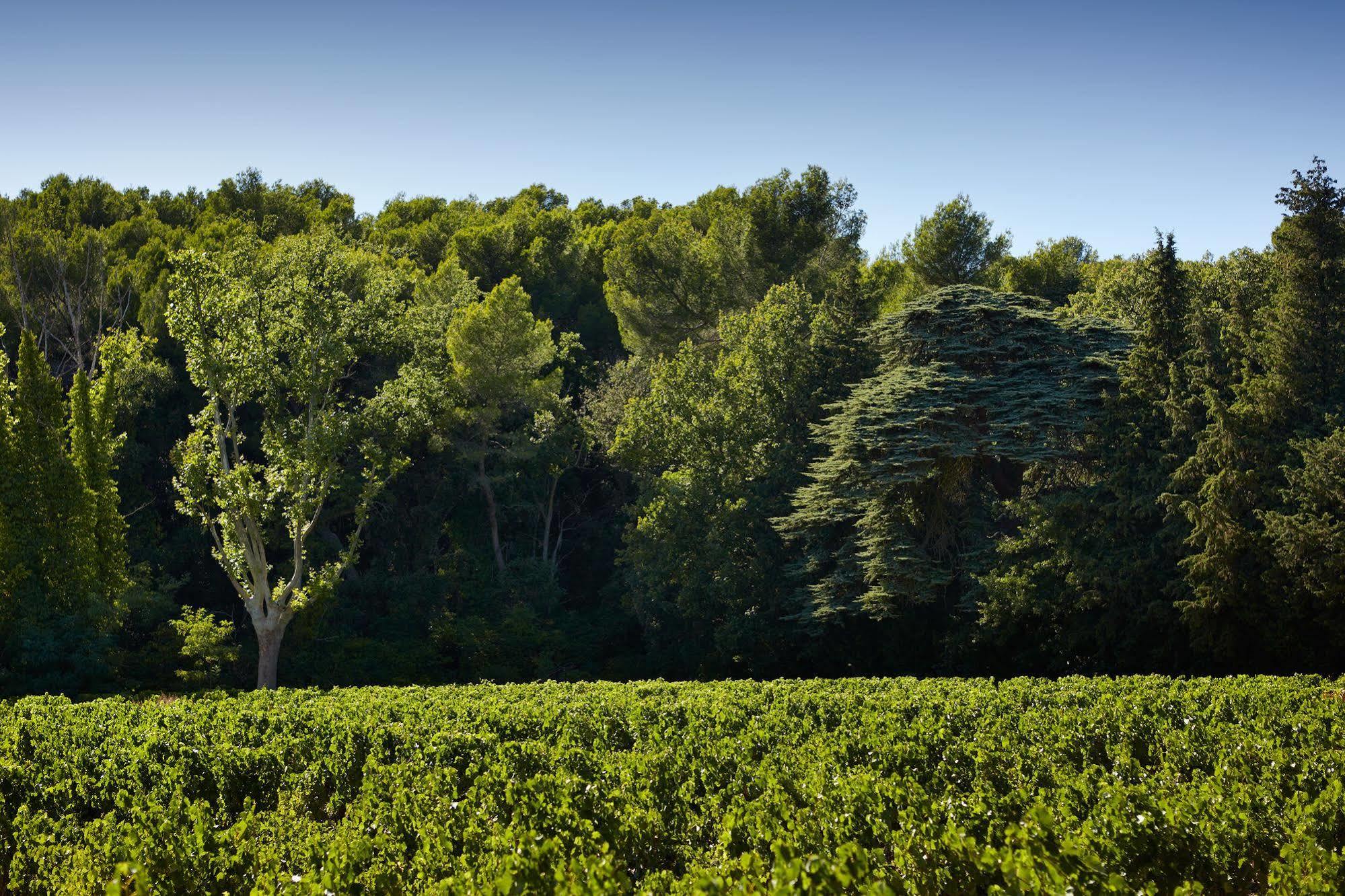 Domaine De Fontenille Lauris Esterno foto